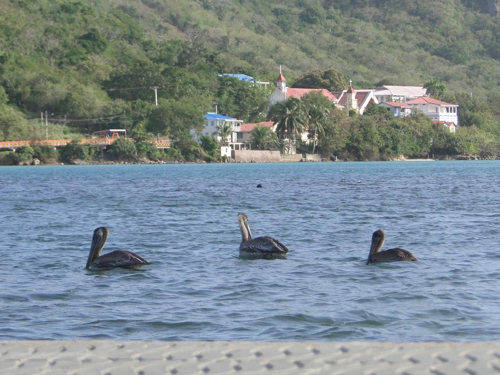 Posada Sunshine Paradise Providencia Island Esterno foto