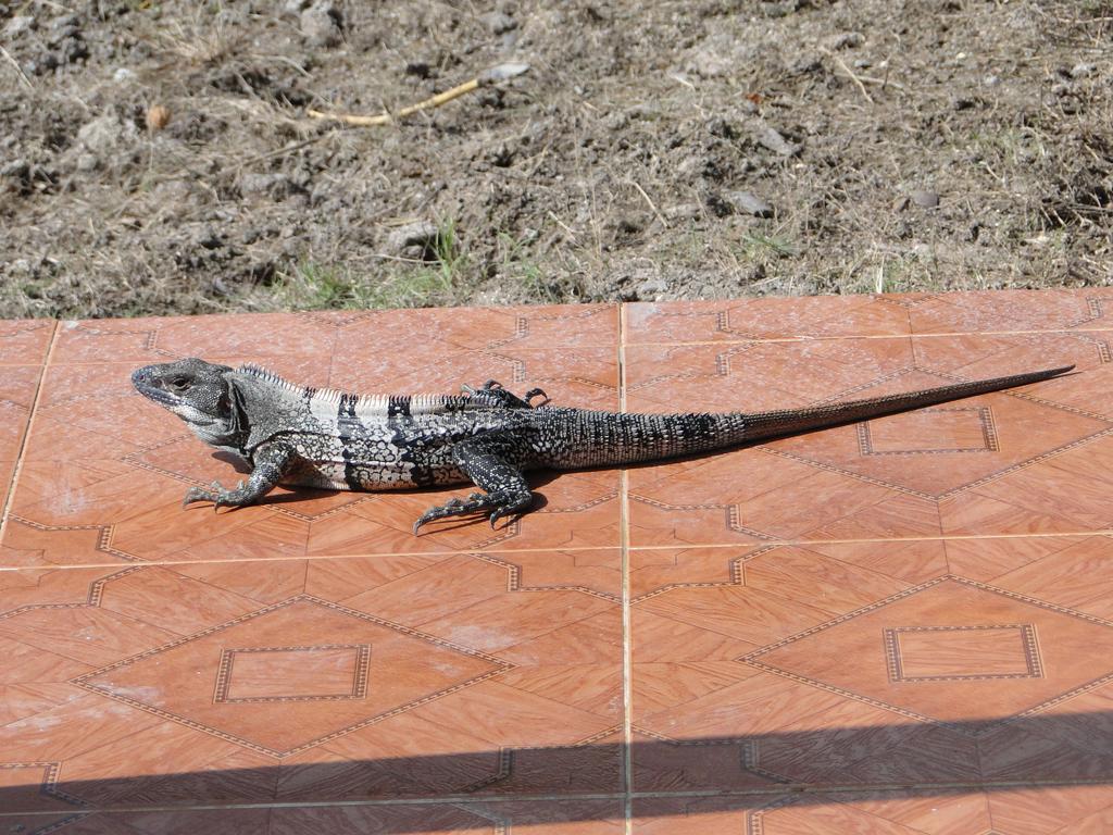 Posada Sunshine Paradise Providencia Island Esterno foto