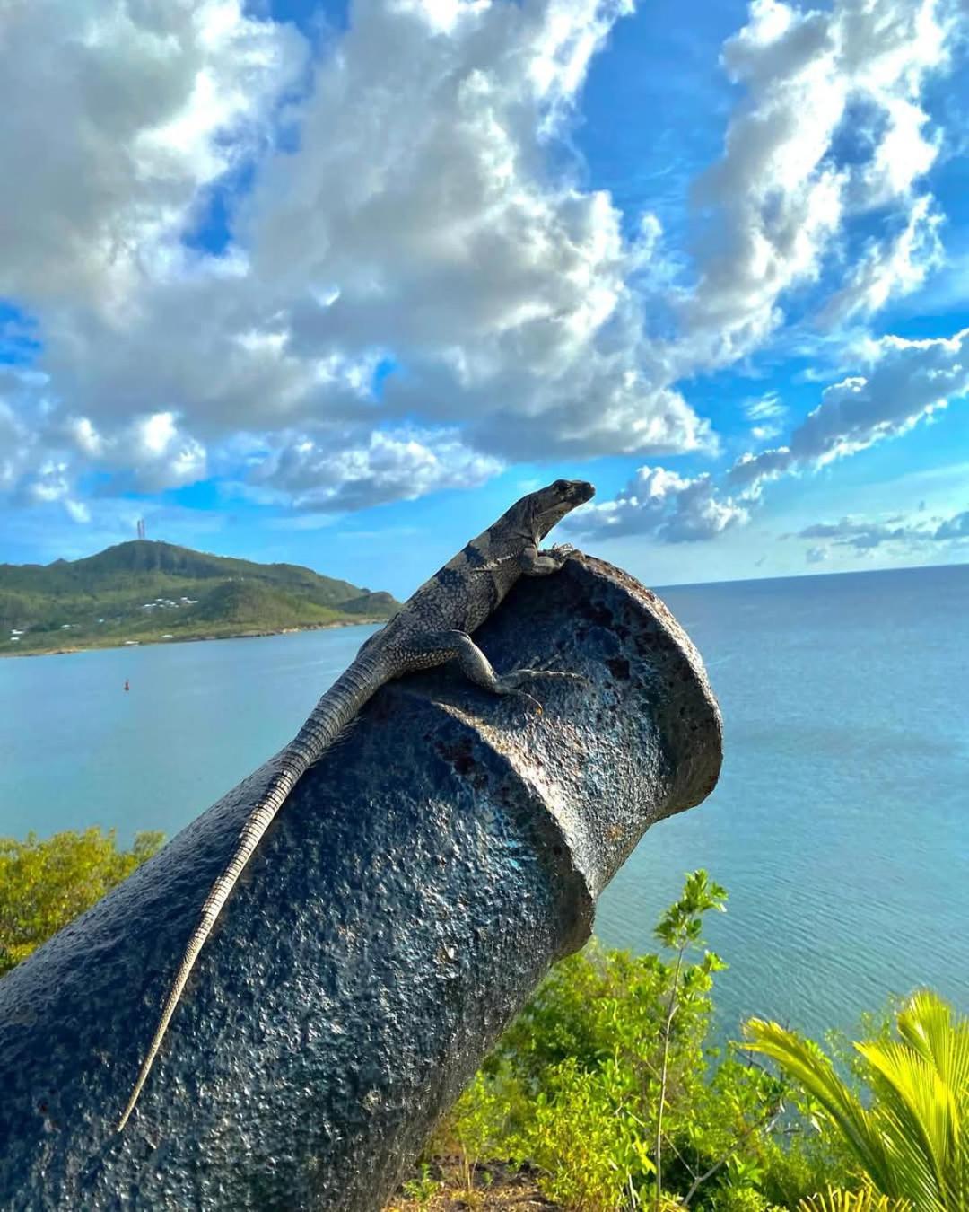 Posada Sunshine Paradise Providencia Island Esterno foto