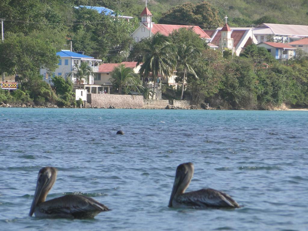 Posada Sunshine Paradise Providencia Island Esterno foto