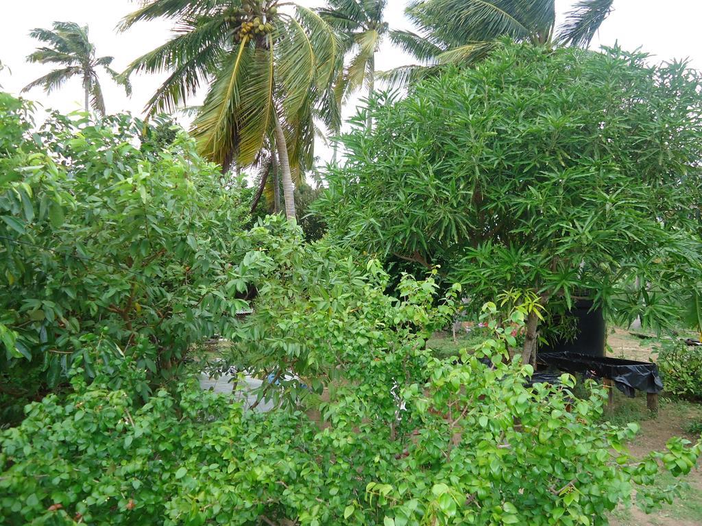 Posada Sunshine Paradise Providencia Island Esterno foto